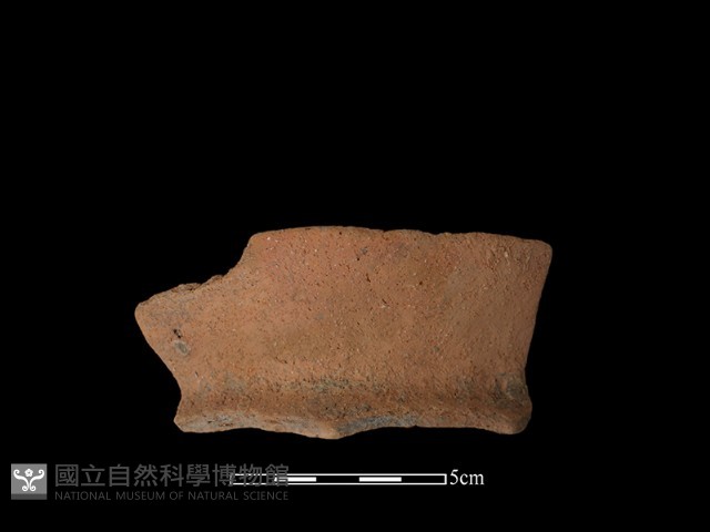 陶罐藏品圖，第1張
