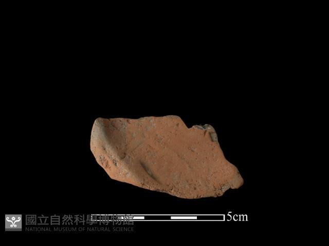 連杯形器藏品圖，第2張