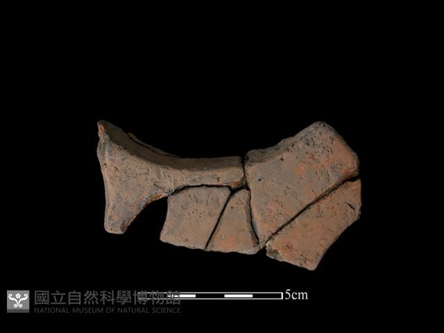 連杯形器藏品圖，第2張