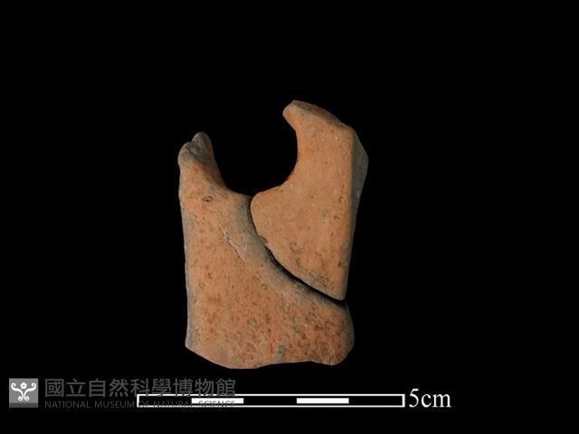 陶片藏品圖，第2張