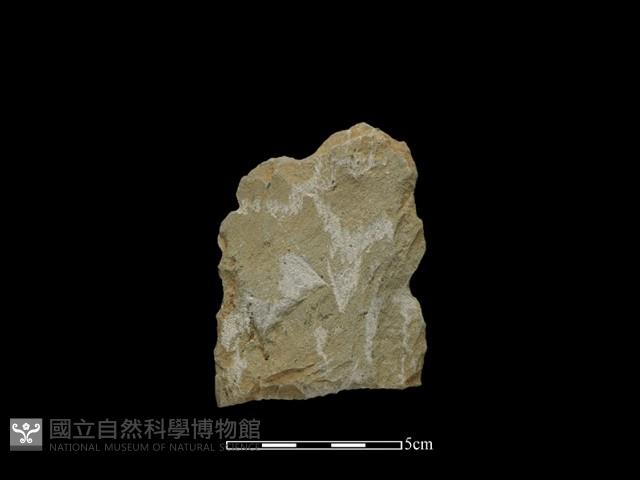 斧鋤形器藏品圖，第1張