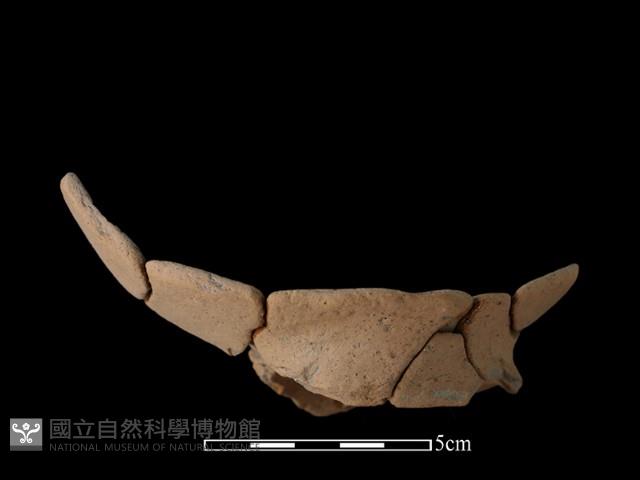 豆形器藏品圖，第2張