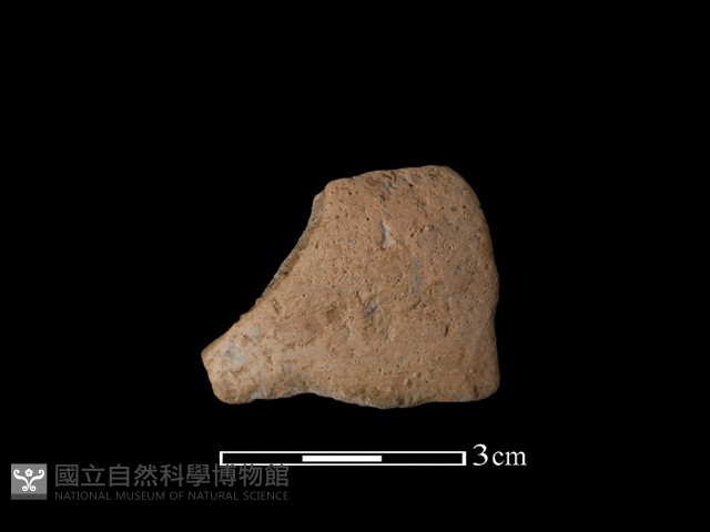 陶罐藏品圖，第2張