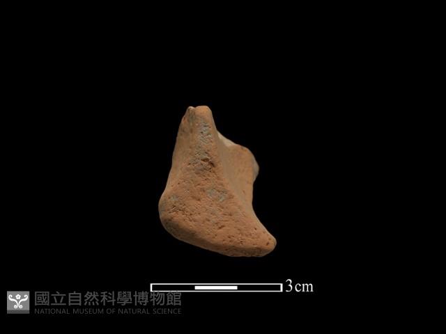 連杯形器藏品圖，第1張