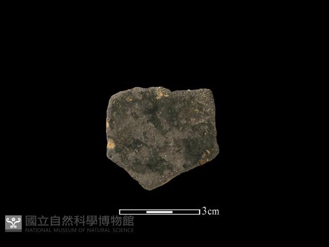 陶片藏品圖，第1張