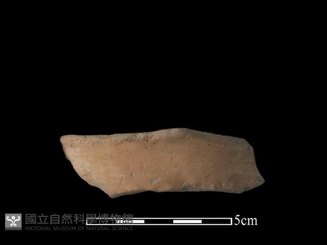 豆形器藏品圖，第2張