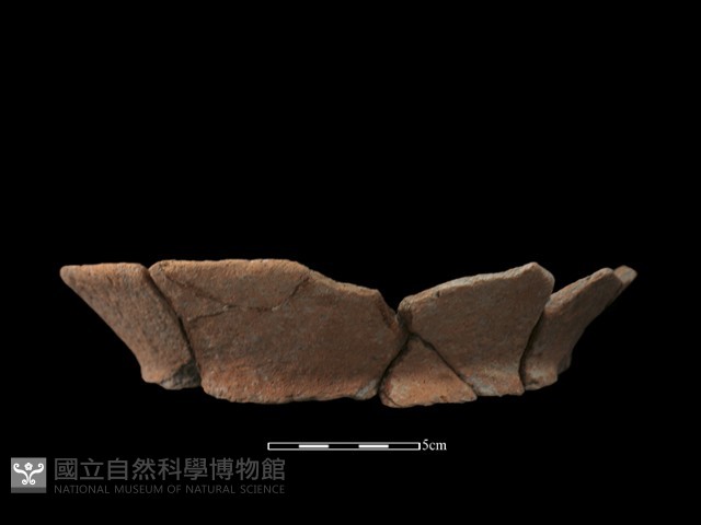 陶罐藏品圖，第2張