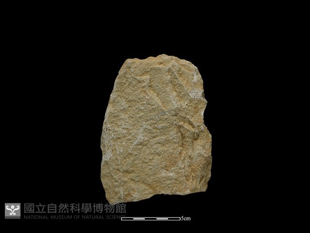 斧鋤形器藏品圖，第1張