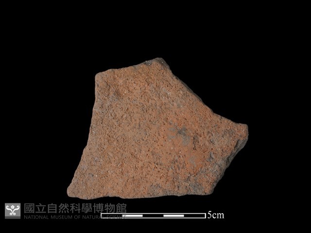 陶片藏品圖，第1張