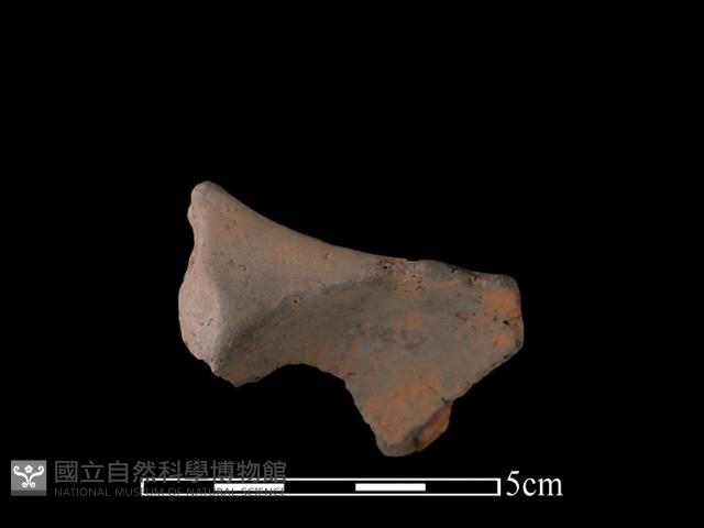 連杯形器藏品圖，第1張