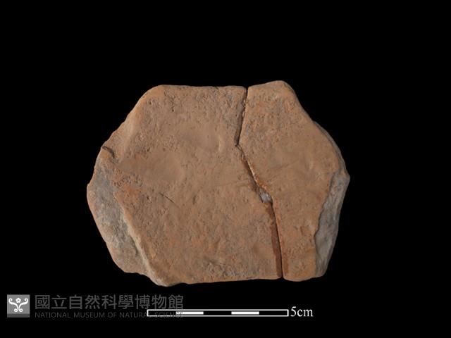 豆形器藏品圖，第2張