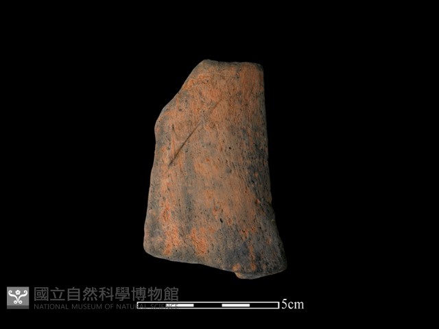 陶片藏品圖，第1張