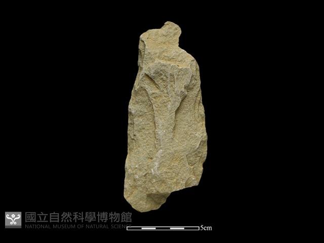 斧鋤形器藏品圖，第2張