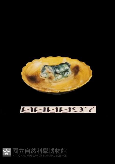 動物盤藏品圖，第1張