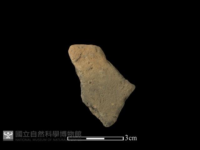 陶片藏品圖，第1張