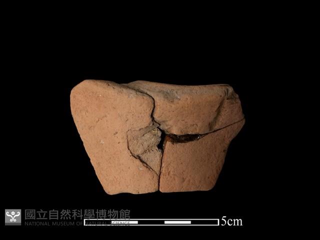 豆形器藏品圖，第1張