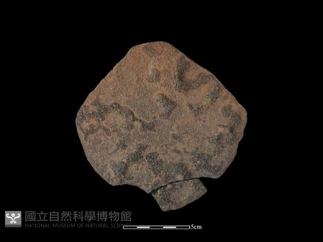 陶片藏品圖，第2張