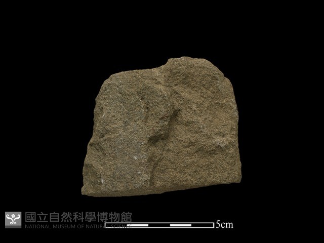 斧鋤形器藏品圖，第2張