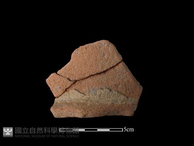 陶罐藏品圖，第2張