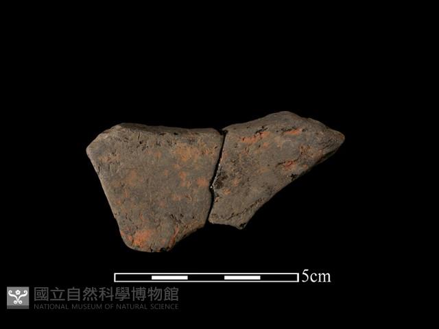 連杯形器藏品圖，第2張