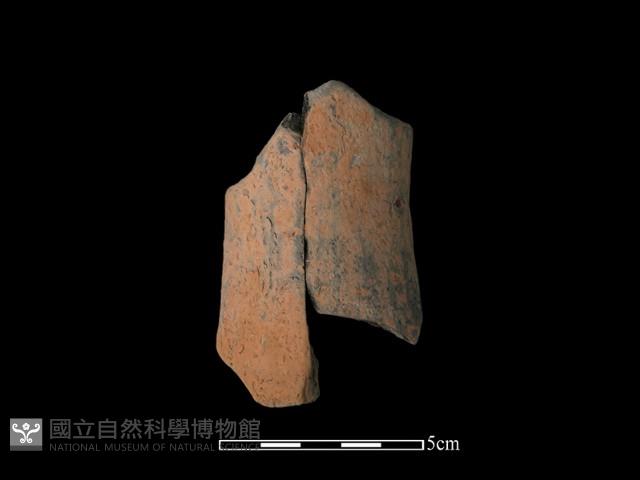 陶片藏品圖，第2張