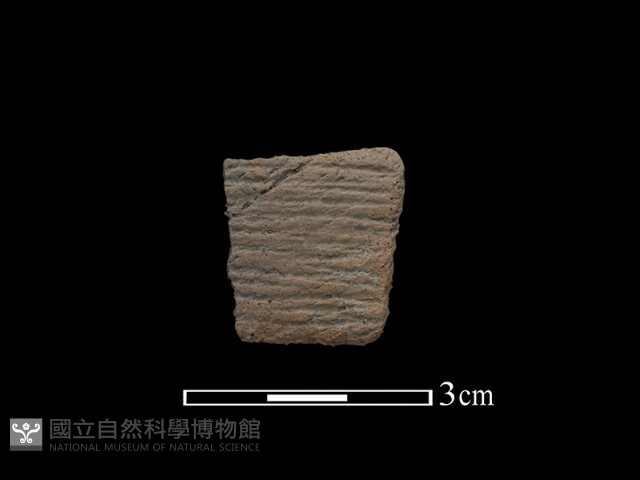 陶片藏品圖，第1張