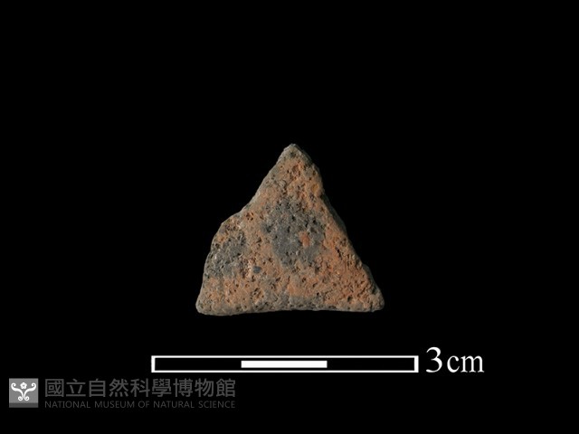 陶片藏品圖，第1張
