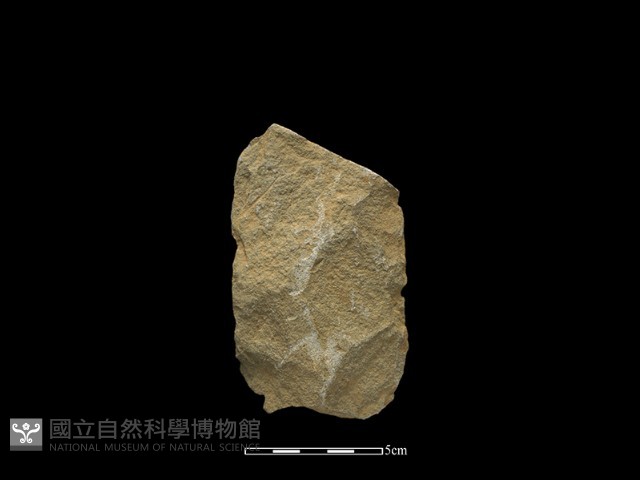 斧鋤形器藏品圖，第1張