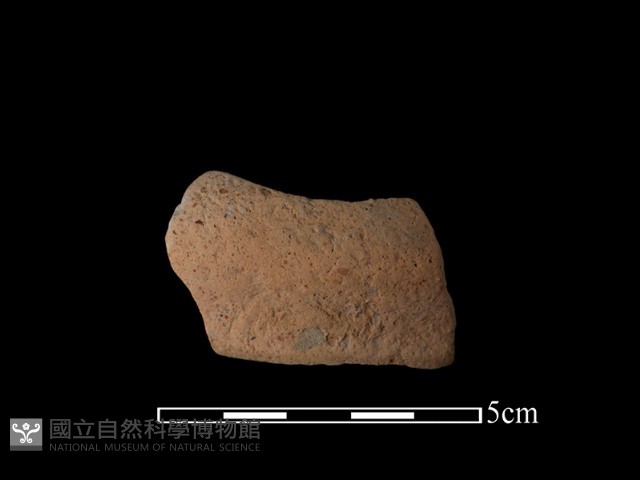 陶罐藏品圖，第2張