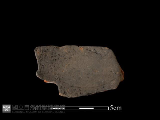 陶片藏品圖，第1張