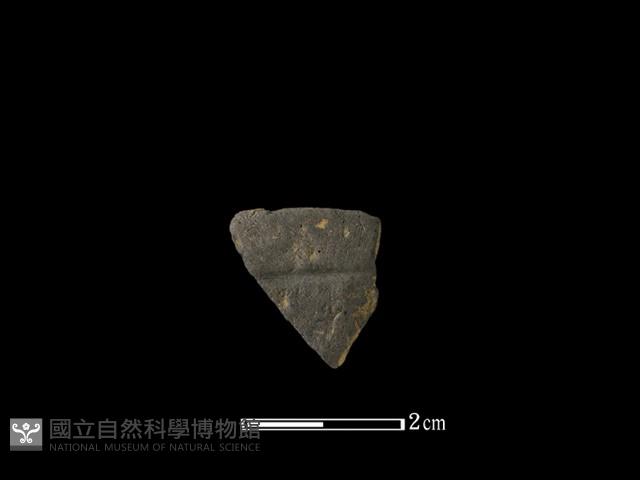 陶片藏品圖，第1張