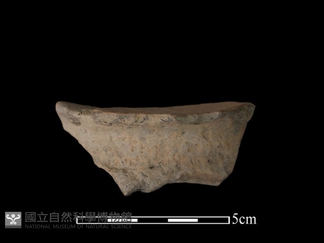 豆形器藏品圖，第1張