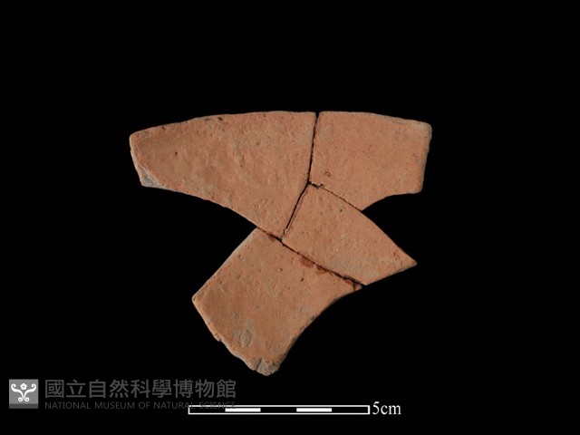 陶片藏品圖，第2張