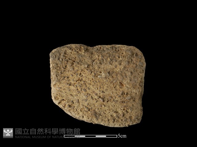 陶片藏品圖，第1張
