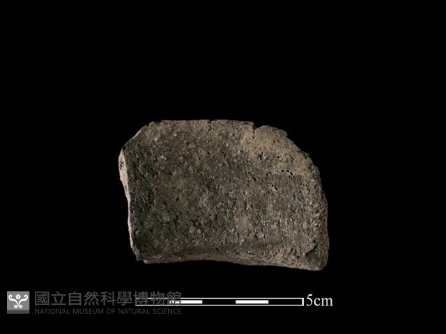 陶罐藏品圖，第1張