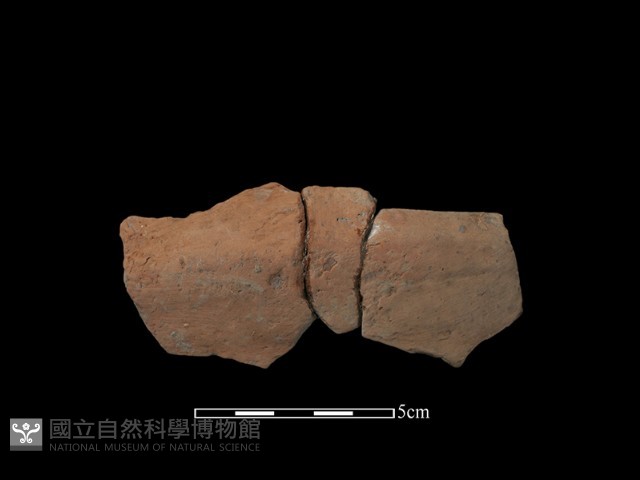 陶片藏品圖，第1張