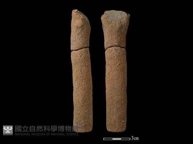 鼎足藏品圖，第1張