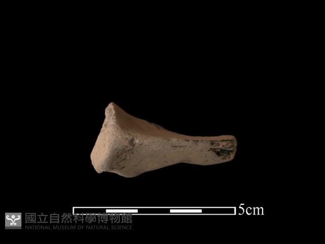 連杯形器藏品圖，第1張