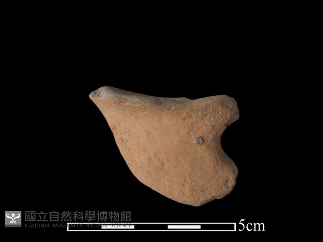 豆形器藏品圖，第1張