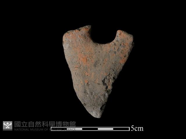 陶片藏品圖，第1張