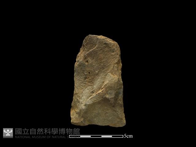 Accession Number:CTT-2014-195 Collection Image, Figure 1, Total 2 Figures