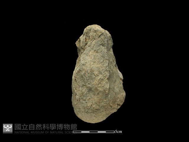 砍砸器藏品圖，第2張
