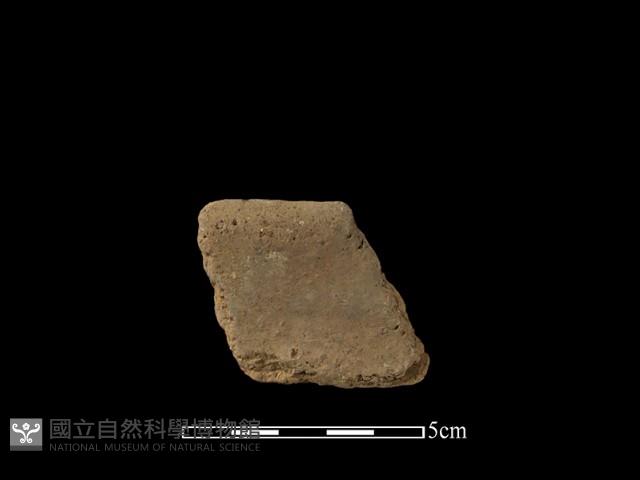 陶片藏品圖，第2張