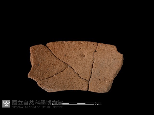 陶罐藏品圖，第2張
