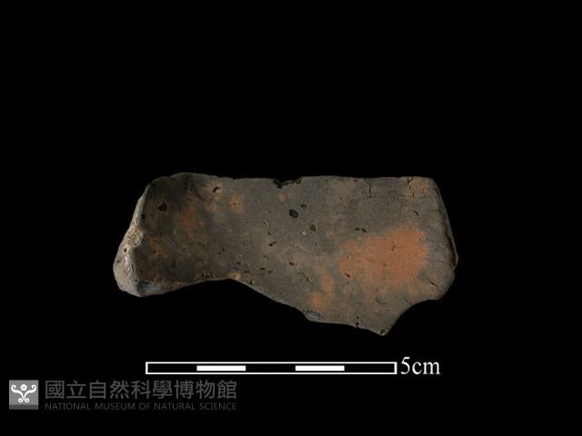 連杯形器藏品圖，第2張