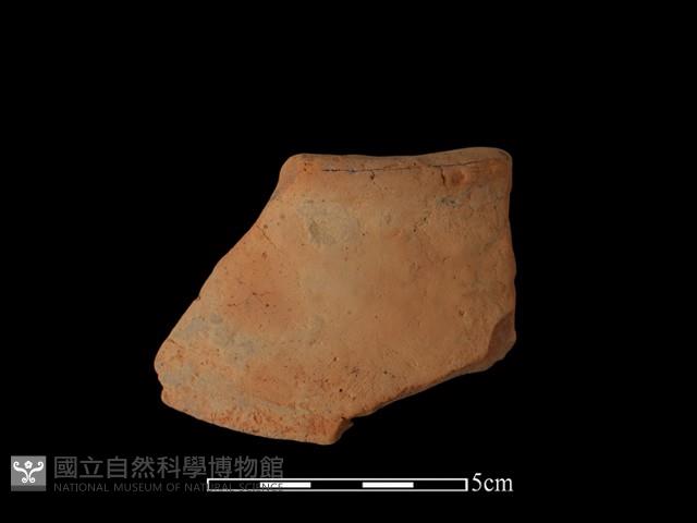 豆形器藏品圖，第1張