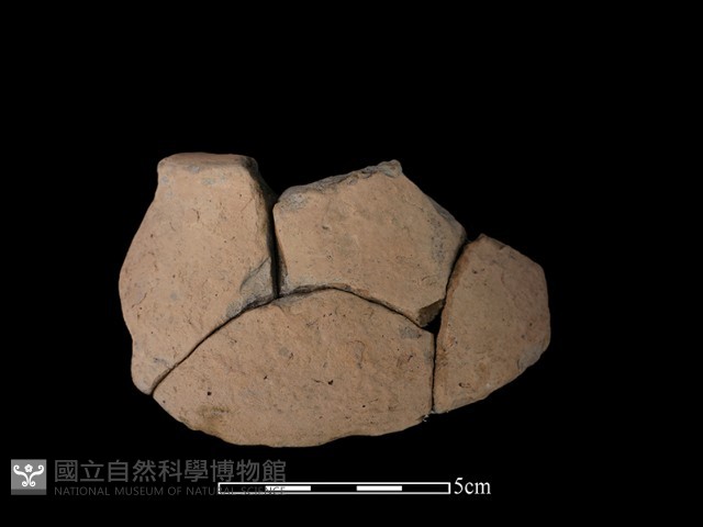 豆形器藏品圖，第2張