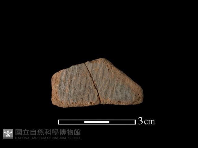 陶片藏品圖，第1張