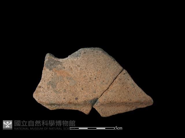 陶片藏品圖，第2張