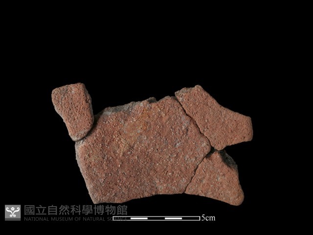 陶罐藏品圖，第1張